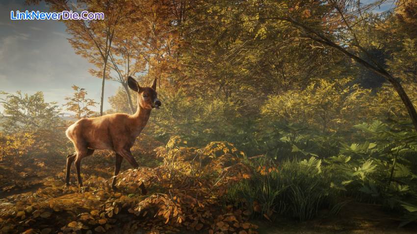 Hình ảnh trong game theHunter: Call of the Wild (screenshot)