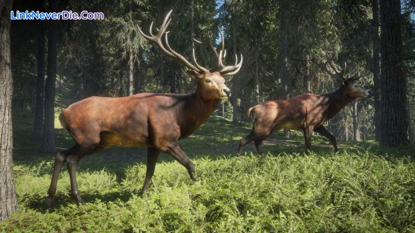 Hình ảnh trong game theHunter: Call of the Wild (screenshot)