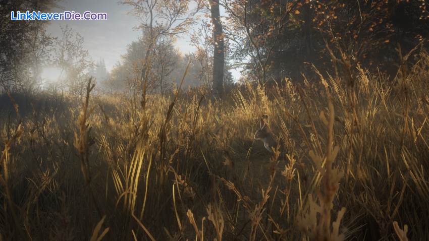 Hình ảnh trong game theHunter: Call of the Wild (screenshot)