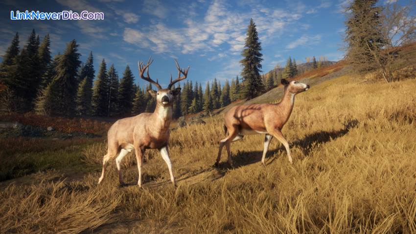 Hình ảnh trong game theHunter: Call of the Wild (screenshot)