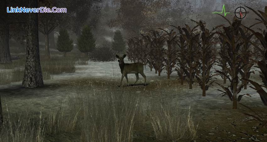 Hình ảnh trong game Whitetail Challenge (screenshot)