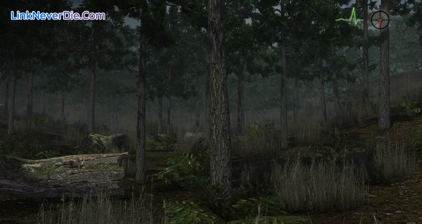 Hình ảnh trong game Whitetail Challenge (screenshot)