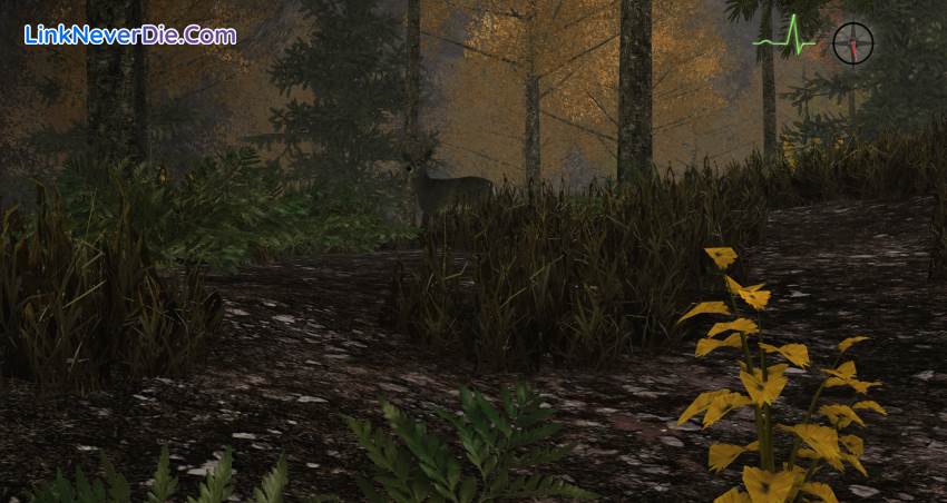 Hình ảnh trong game Whitetail Challenge (screenshot)