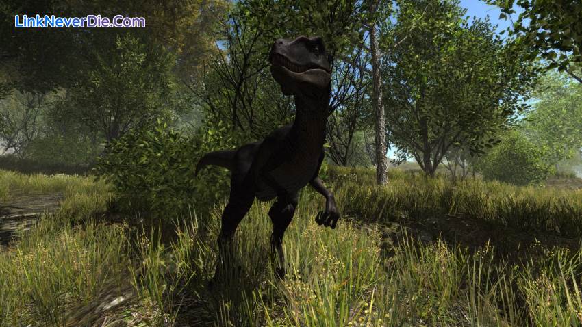 Hình ảnh trong game Dinosaur Forest (screenshot)