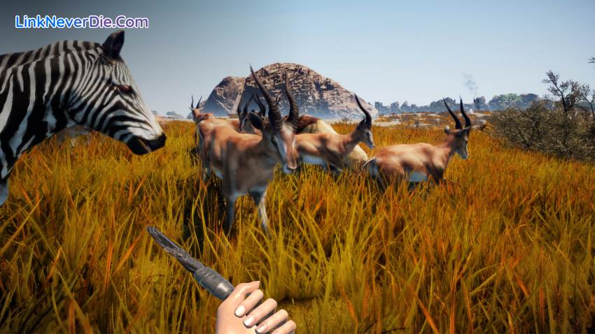 Hình ảnh trong game Animallica (screenshot)