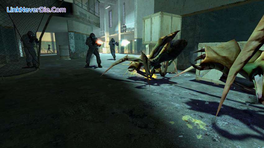 Hình ảnh trong game Half-Life 2 Collection (screenshot)