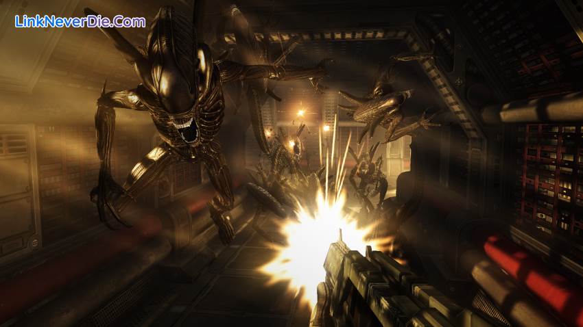 Hình ảnh trong game Aliens vs Predator (screenshot)