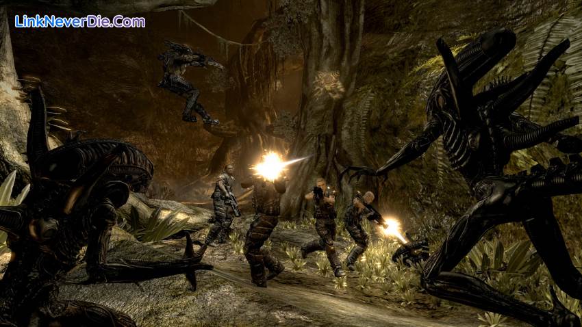 Hình ảnh trong game Aliens vs Predator (screenshot)