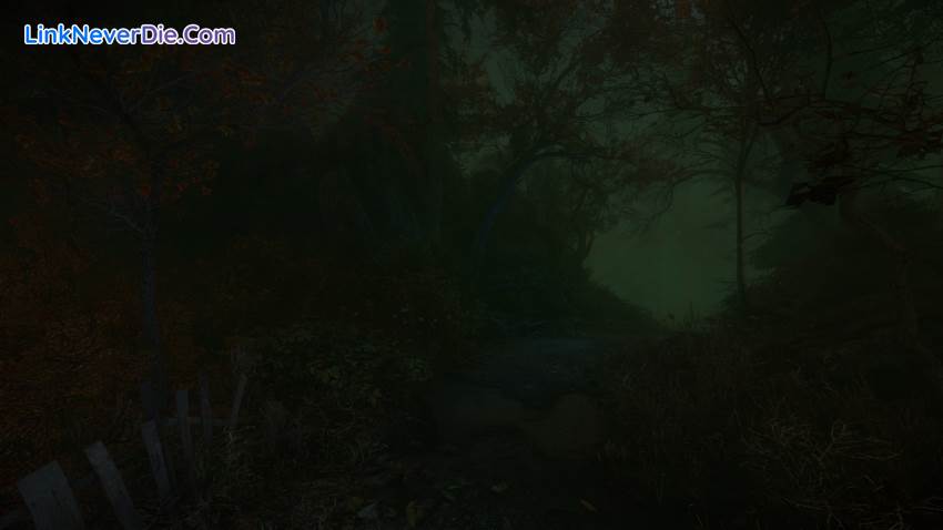 Hình ảnh trong game The Cursed Forest (screenshot)