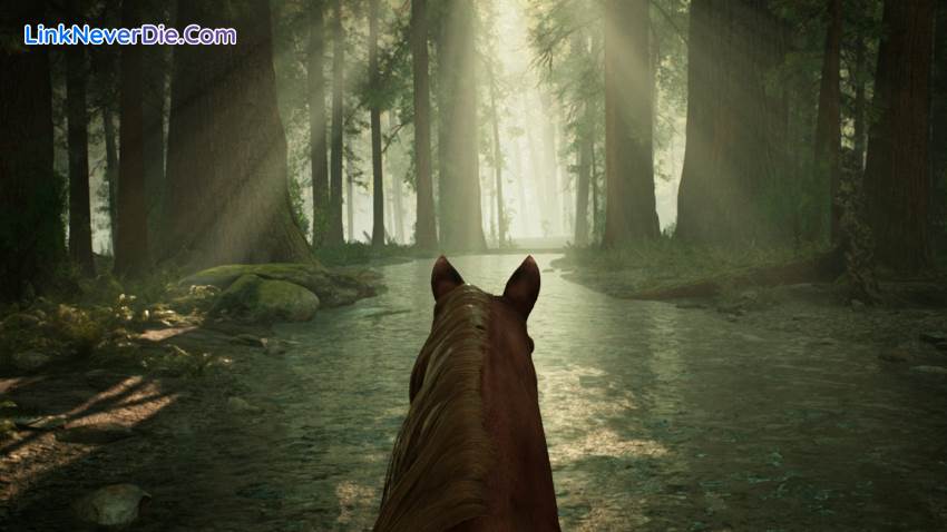 Hình ảnh trong game Morels: The Hunt (screenshot)