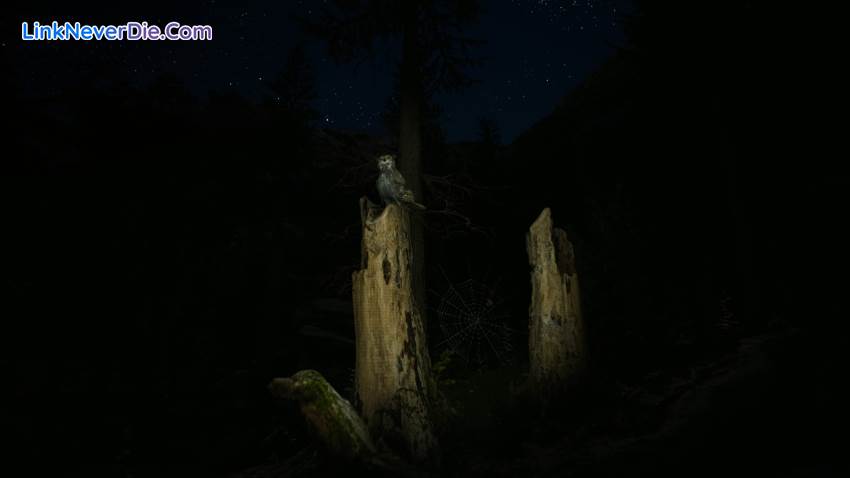 Hình ảnh trong game Morels: The Hunt (screenshot)