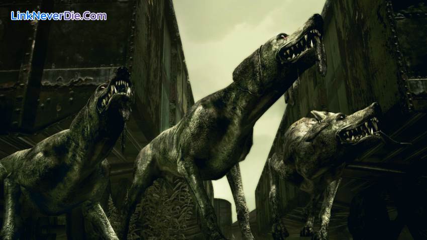 Hình ảnh trong game Resident Evil 5 Gold Edition (screenshot) Hình ảnh trong game Resident Evil 5 Gold Edition (screenshot)