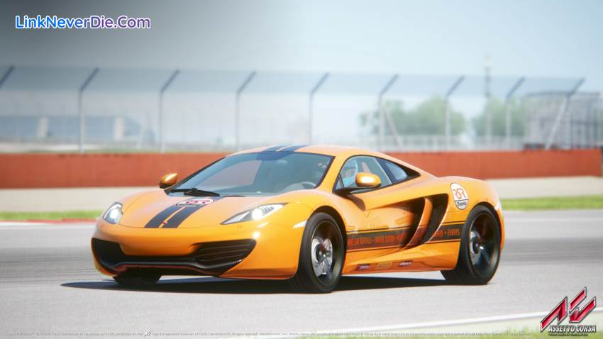 Hình ảnh trong game Assetto Corsa (screenshot)