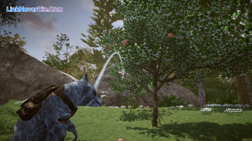 Hình ảnh trong game Wanted Raccoon (screenshot)