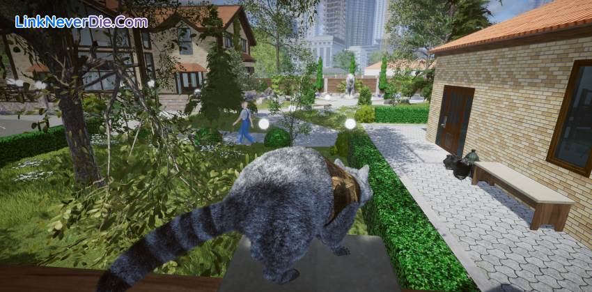 Hình ảnh trong game Wanted Raccoon (screenshot)