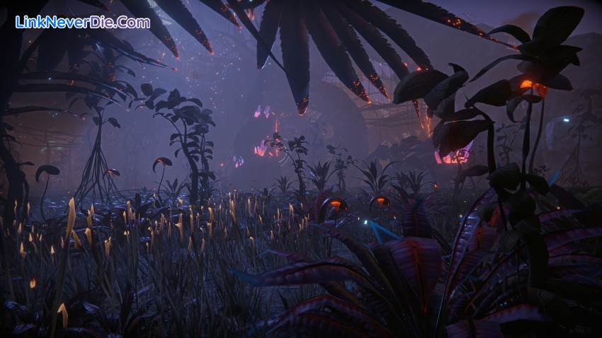Hình ảnh trong game Edge Of Eternity (screenshot) Hình ảnh trong game Edge Of Eternity (screenshot)