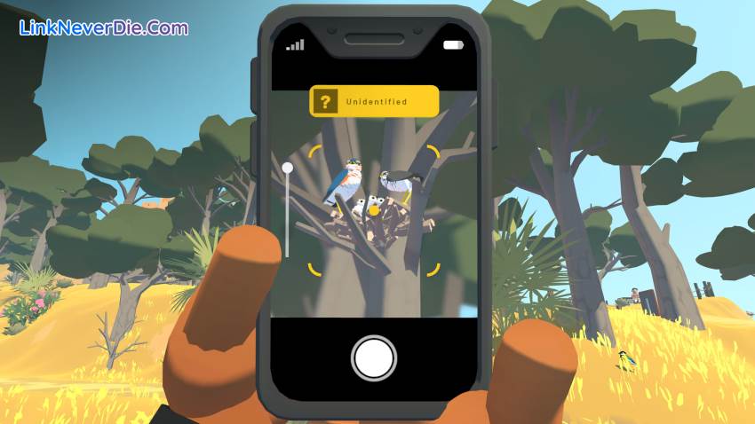 Hình ảnh trong game Alba: A Wildlife Adventure (screenshot)
