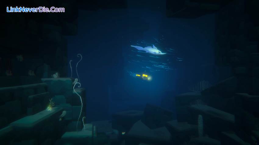 Hình ảnh trong game DAVE THE DIVER (screenshot)