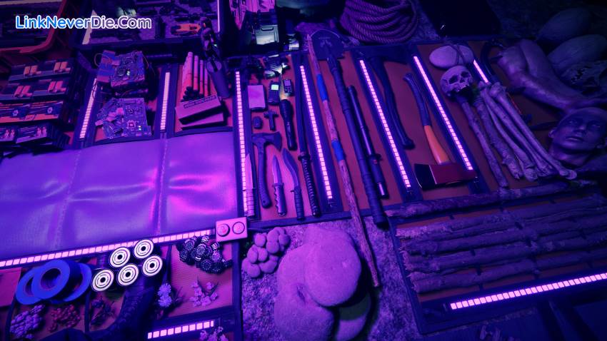 Hình ảnh trong game Sons Of The Forest (screenshot) Hình ảnh trong game Sons Of The Forest (screenshot)