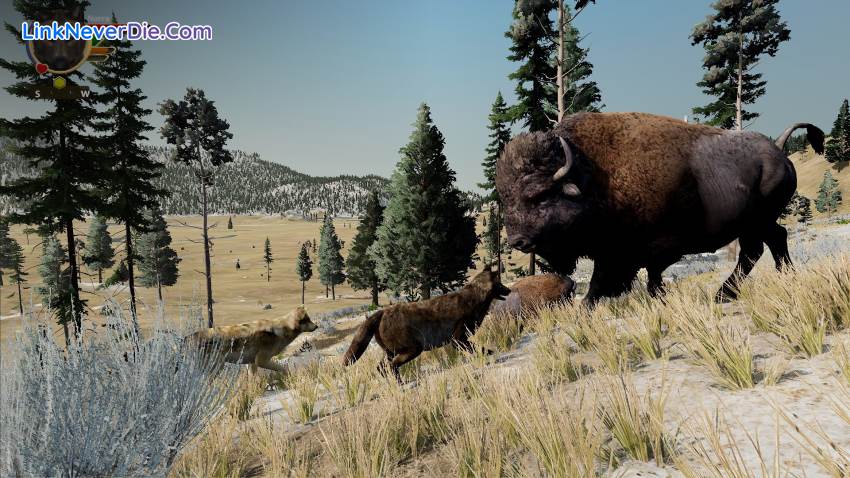 Hình ảnh trong game WolfQuest: Anniversary Edition (screenshot)