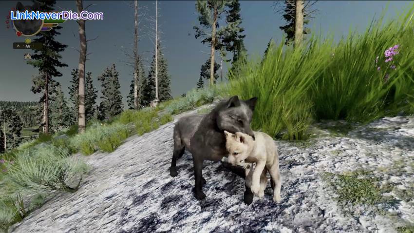 Hình ảnh trong game WolfQuest: Anniversary Edition (screenshot)