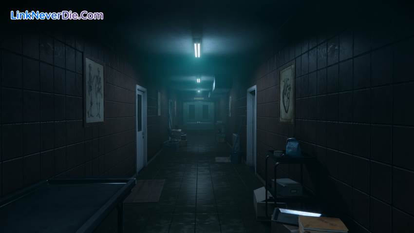 Hình ảnh trong game Autopsy Simulator (screenshot) Hình ảnh trong game Autopsy Simulator (screenshot)