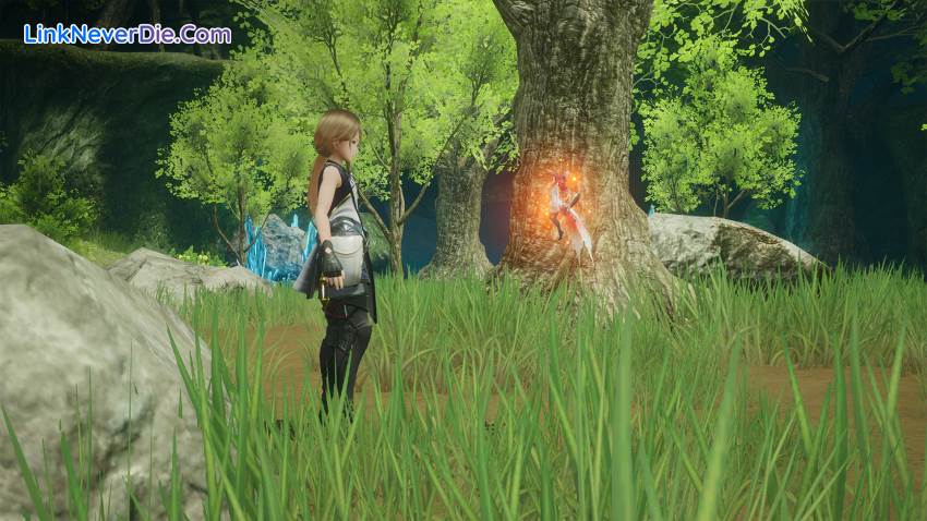 Hình ảnh trong game HARVESTELLA (screenshot) Hình ảnh trong game HARVESTELLA (screenshot)