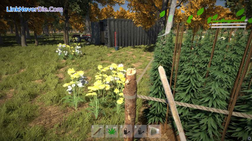 Hình ảnh trong game Weed Farmer Simulator (screenshot)