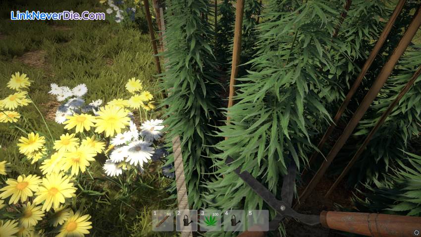 Hình ảnh trong game Weed Farmer Simulator (screenshot)