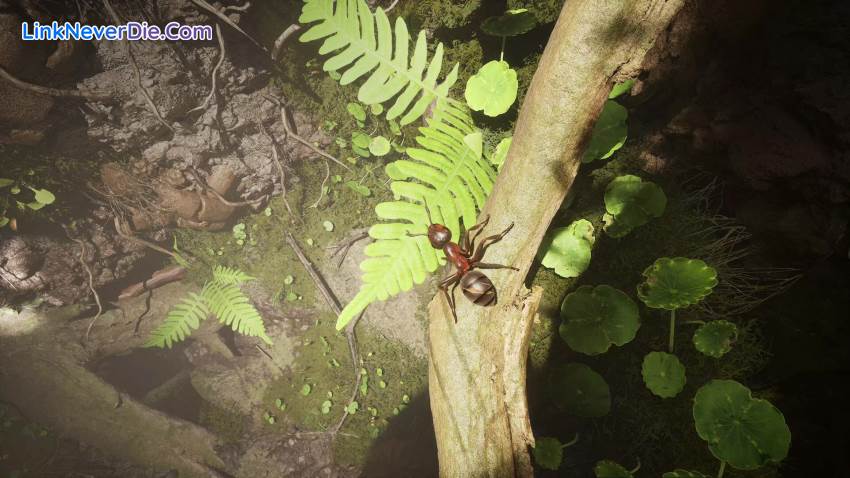 Hình ảnh trong game Empire of the Ants (screenshot) Hình ảnh trong game Empire of the Ants (screenshot)