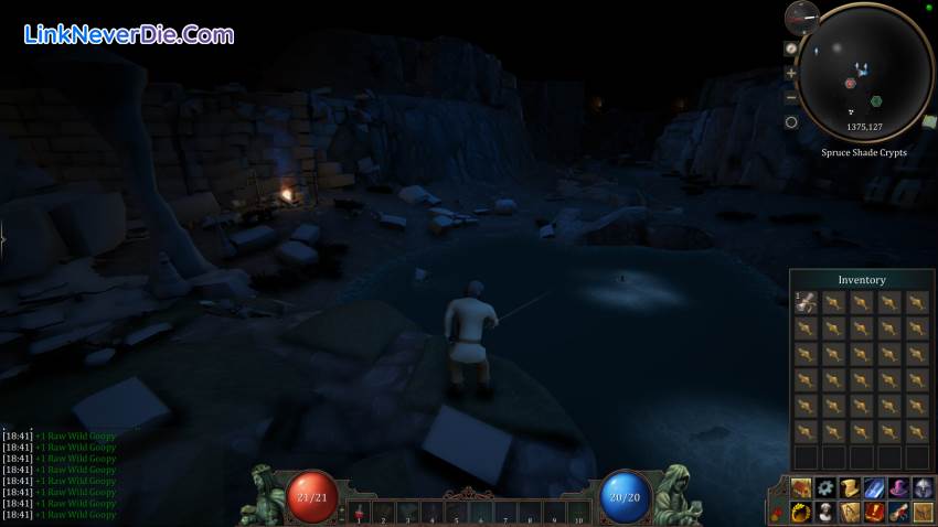 Hình ảnh trong game The Black Grimoire: Cursebreaker (screenshot)