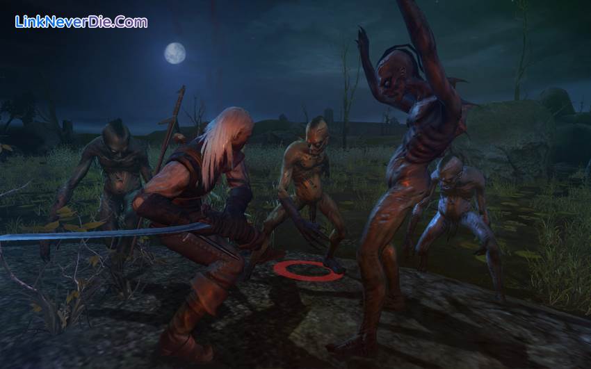 Hình ảnh trong game The Witcher: Enhanced Edition (screenshot)