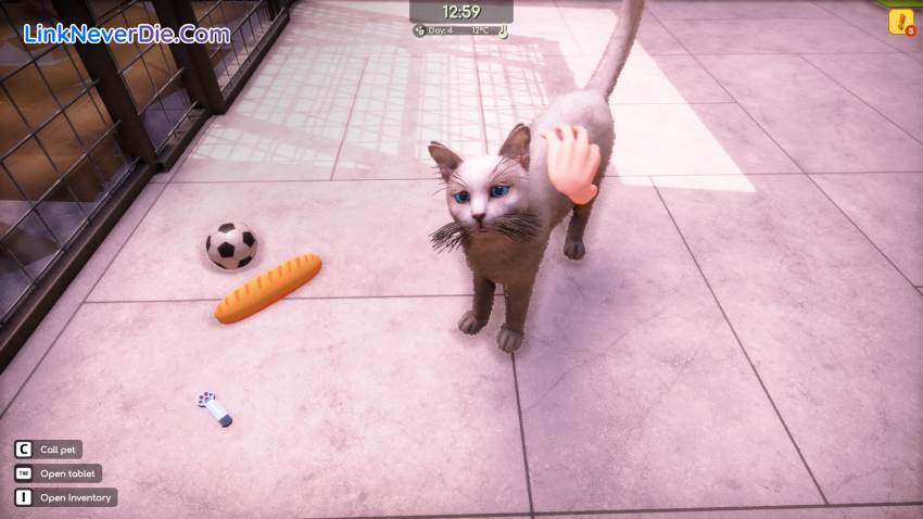 Hình ảnh trong game Animal Shelter 2 (screenshot) Hình ảnh trong game Animal Shelter 2 (screenshot)