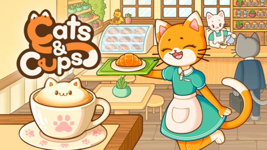 Cats & Cups cover