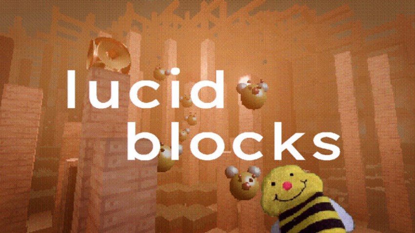 Lucid Blocks cover