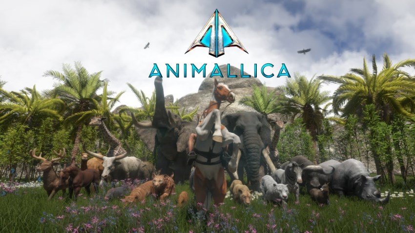 Animallica cover