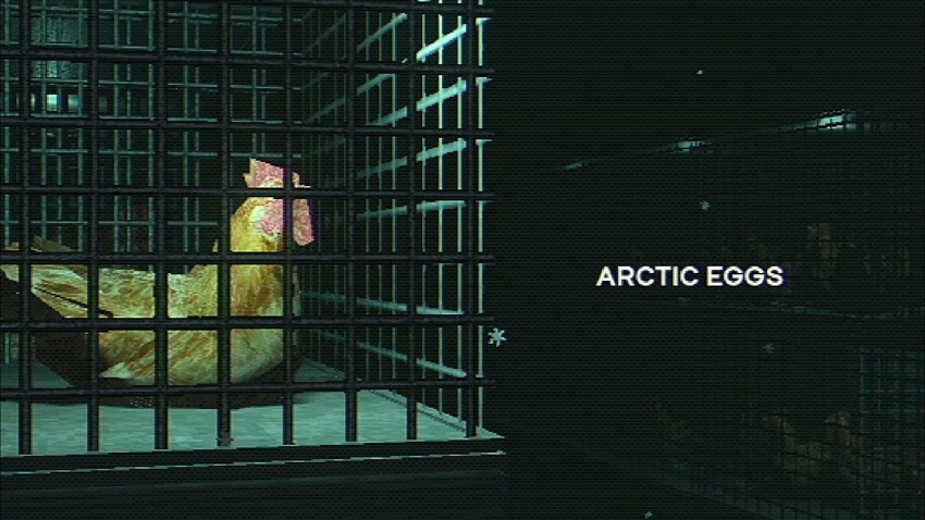 Arctic Eggs cover